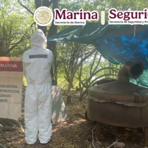 Marina neutraliza un gran laboratorio clandestino en Sinaloa