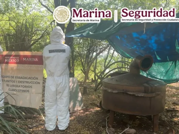 Marina neutraliza un gran laboratorio clandestino en Sinaloa