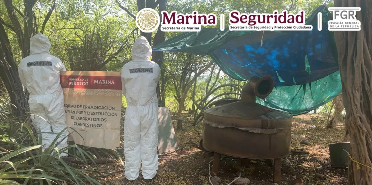 Marina neutraliza un gran laboratorio clandestino en Sinaloa
