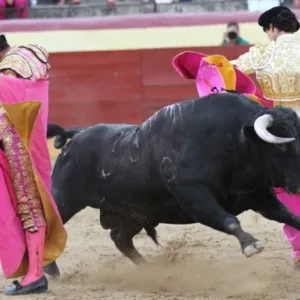 Al alimón: El arte olvidado del consenso