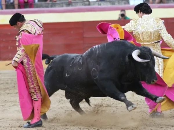 Al alimón: El arte olvidado del consenso